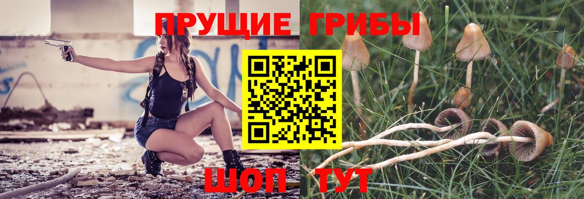 Галлюциногенные грибы Magic Shrooms  Вход с VPN  Галлюциногенные грибы GOLDEN TEACHER  Мичуринск 